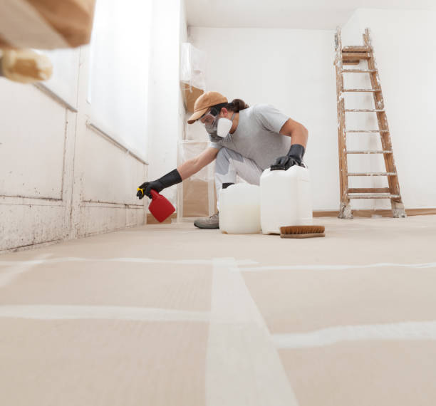 Forensic Mold Investigation in Rockwell, NC